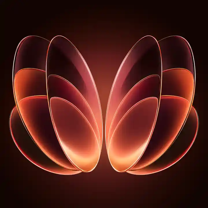Wallpaper