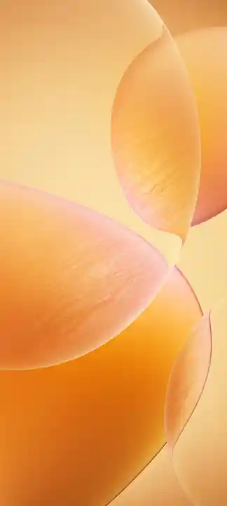 Wallpaper