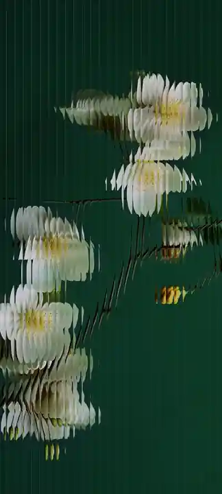 Wallpaper