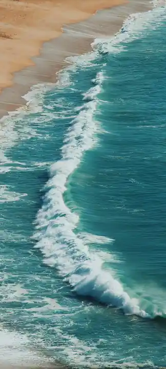 Wallpaper
