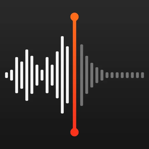 Voice Call Recorder 